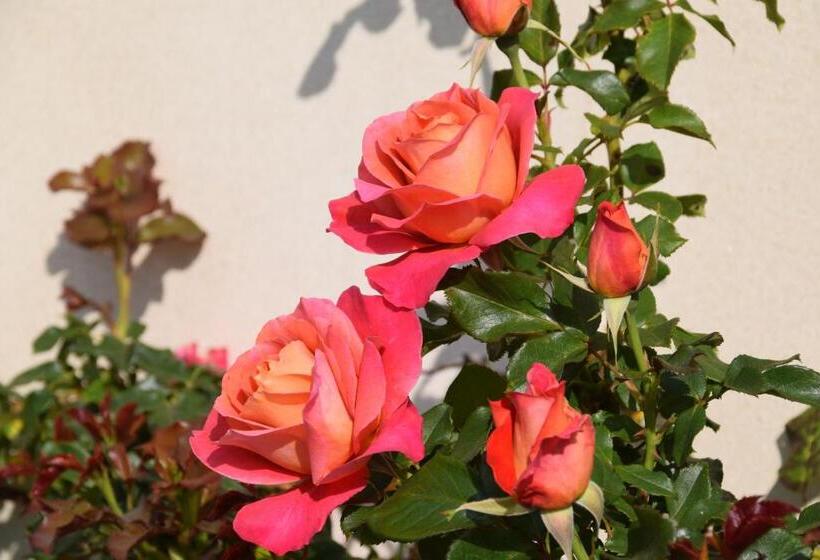 צימר La Villa 13&15