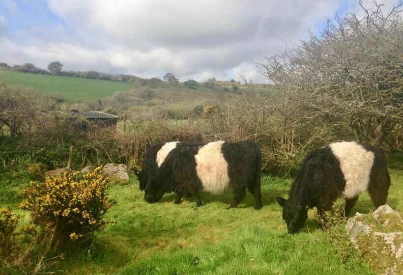 צימר Lower Crankan Farm