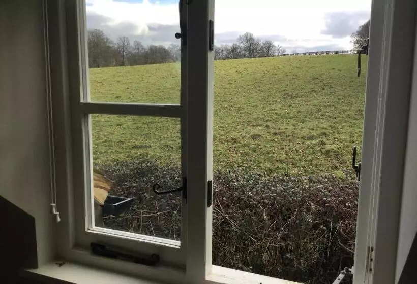 Field Cottage B&b