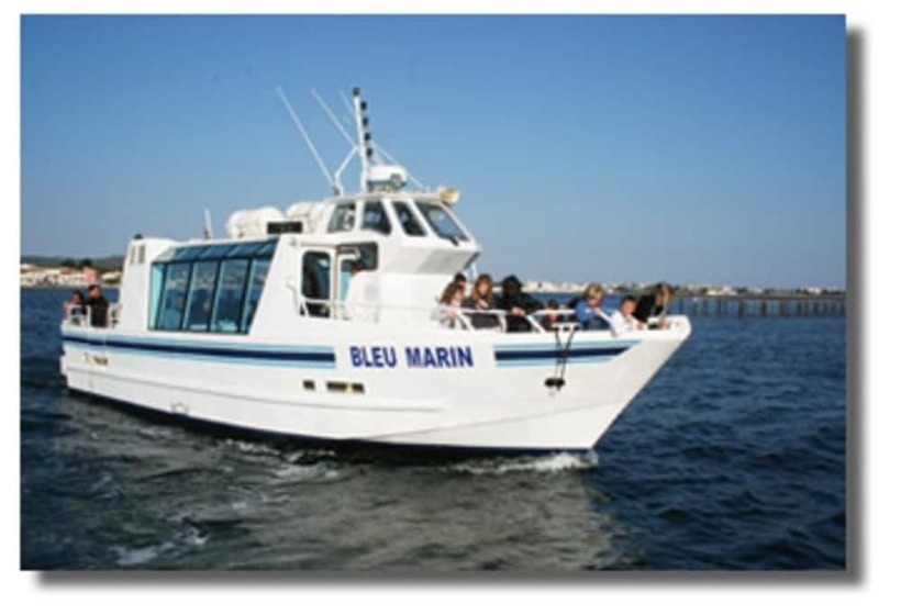 فندق Mobile Home 3 Chambre Clim Tv Camping 4