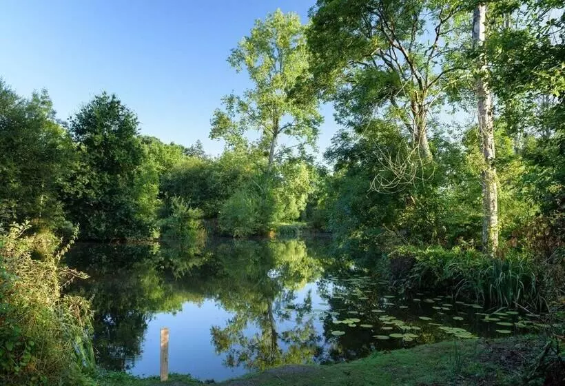 Hotelli Rives Nature