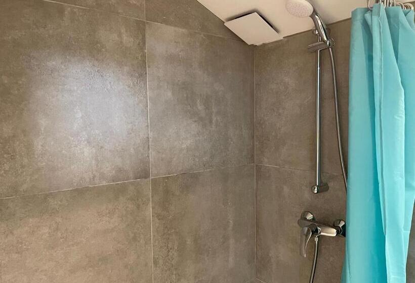 پانسیون Aux Tourelles 1888   Tres Proche Lyon