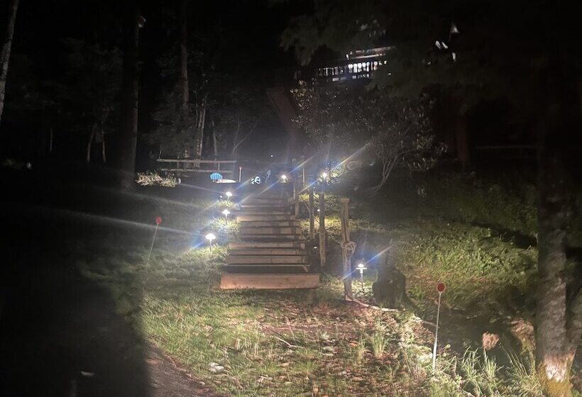 Unforgettable Dreams