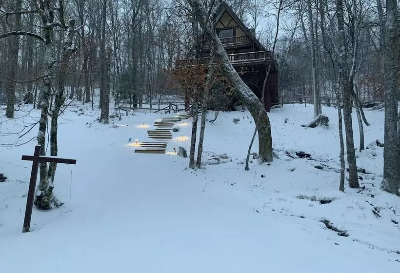 Unforgettable Dreams