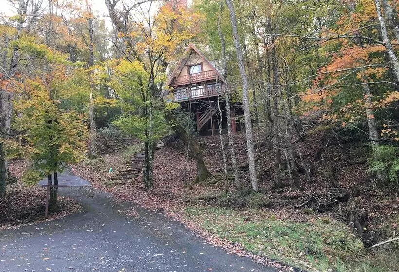 Unforgettable Dreams