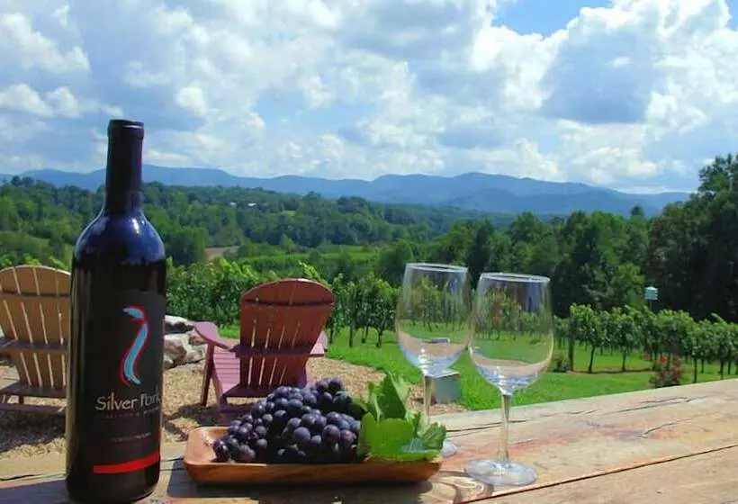 Unforgettable Dreams