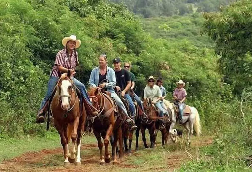 Unforgettable Dreams