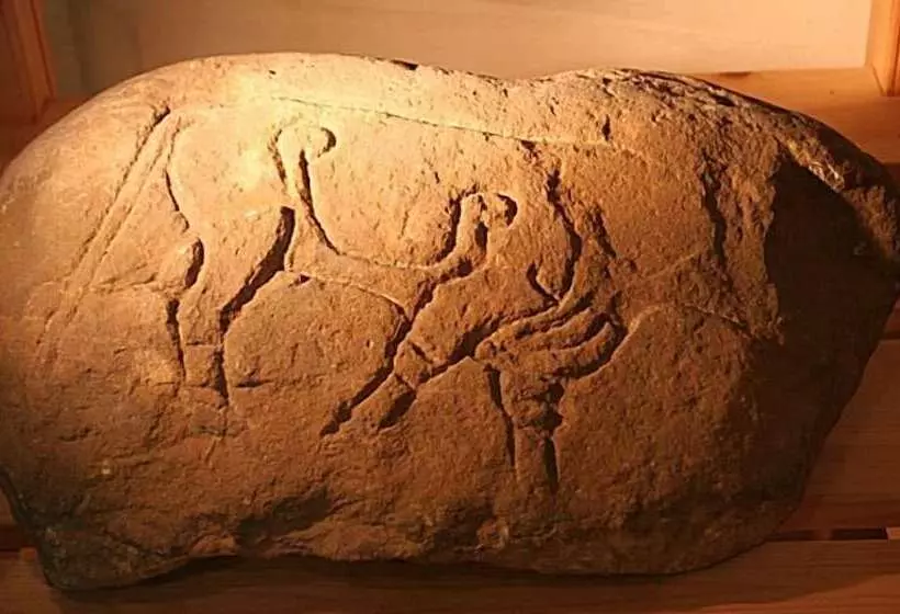 Carden Holiday Cottages