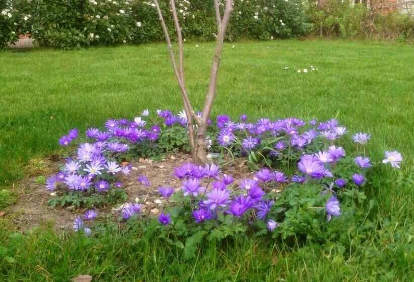 Lackford Lakes Barns