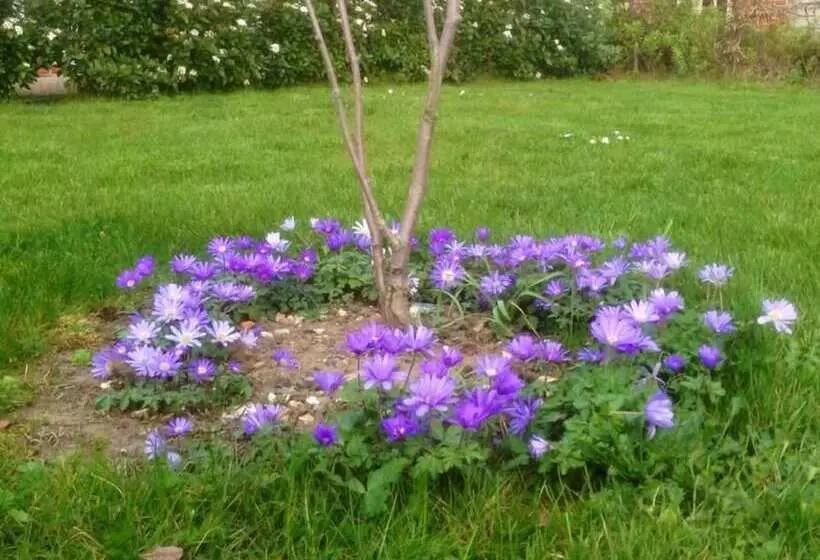 Lackford Lakes Barns