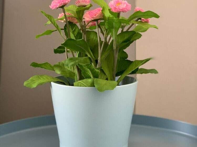 بنسيون Buccleuch Apartment