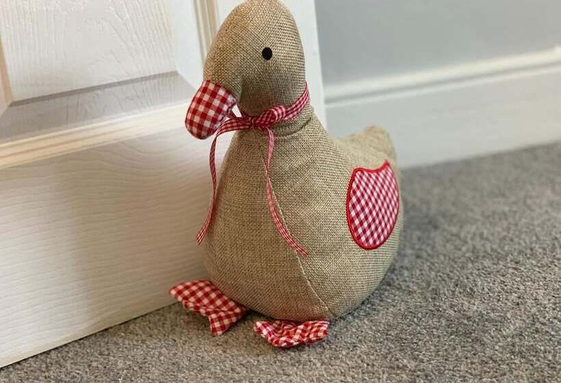 بنسيون Buccleuch Apartment