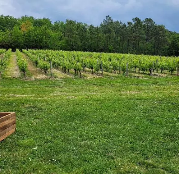 Aamiaismajoitus (B&B) A L Ombre De La Treille  Proche Saint Emilion