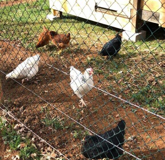 膳宿费 Le Castelat De Julienna