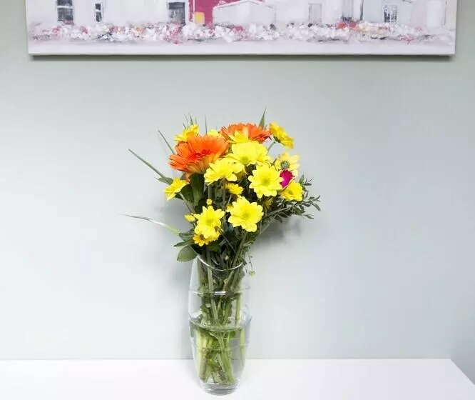 The Neuk Anstruther Sleeps 6 Fantastic Location