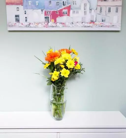 The Neuk Anstruther Sleeps 6 Fantastic Location