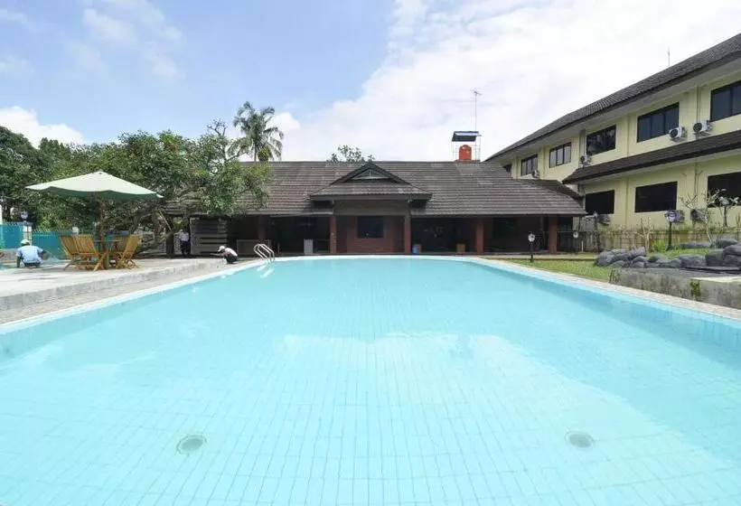 Hotel Gerbera
