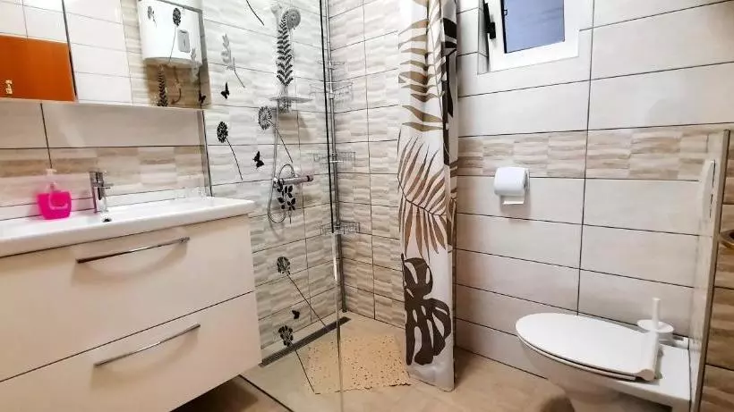 Apartment Miroslav