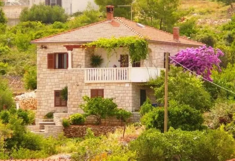 Apartments Jelka
