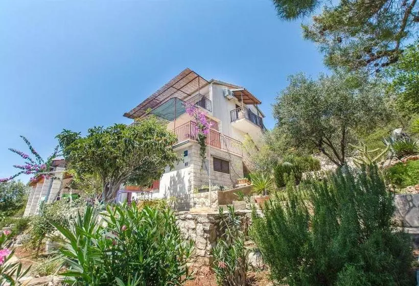 Apartments Ana