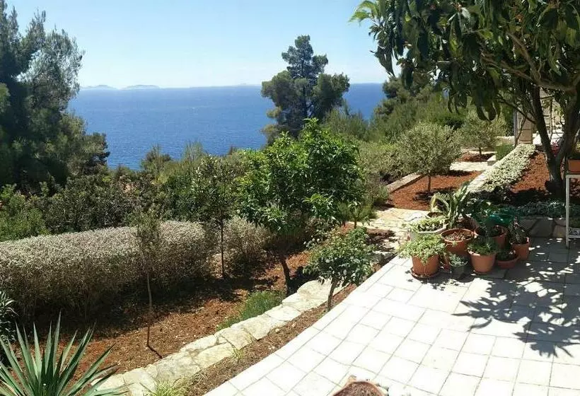 Apartments Ana