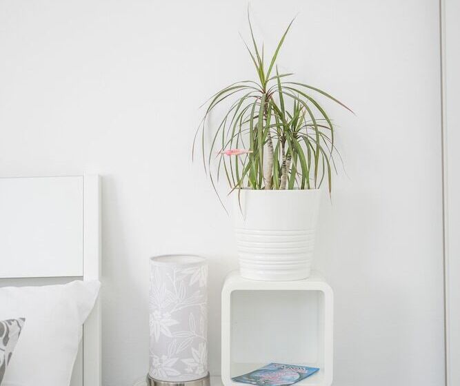 Modern Living In The Heart Of Trogir