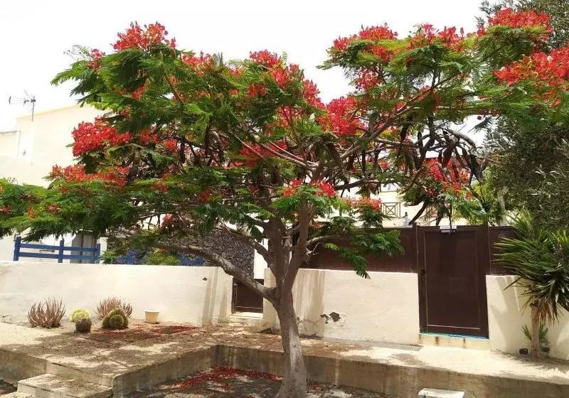 Majatalo Deluxe Las Marinas Rooms  Adults Only