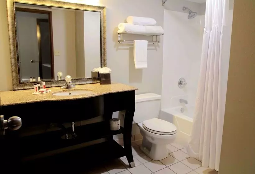 酒店 Baymont By Wyndham Lafayette Purdue University