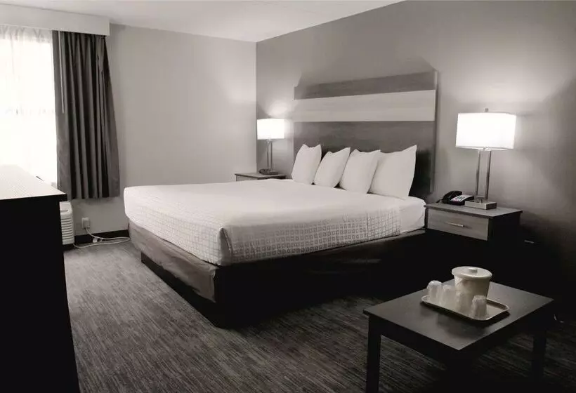 酒店 Baymont By Wyndham Lafayette Purdue University