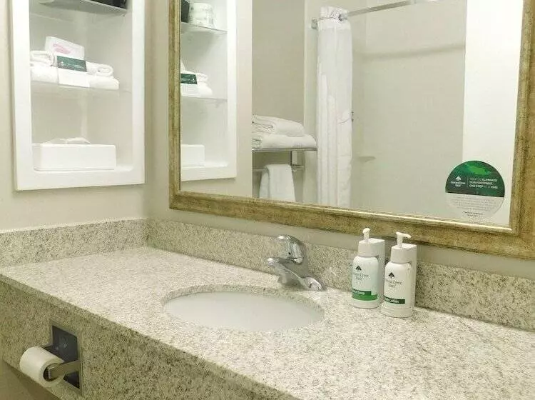 酒店 Greentree Inn & Suites Pinetop