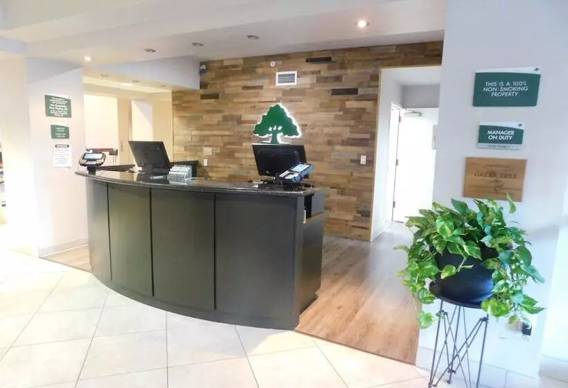 酒店 Greentree Inn & Suites Pinetop