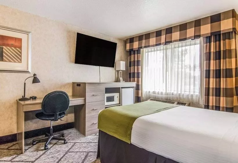 酒店 Guesthouse Inn & Suites Poulsbo