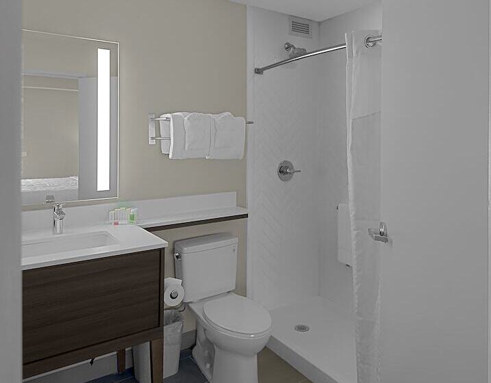 Holiday Inn Hotel & Suites Chicago   Downtown, An Ihg