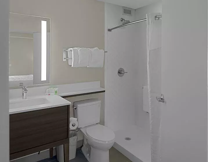 Holiday Inn Hotel & Suites Chicago   Downtown, An Ihg