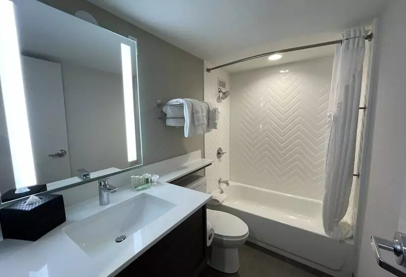 Holiday Inn Hotel & Suites Chicago   Downtown, An Ihg