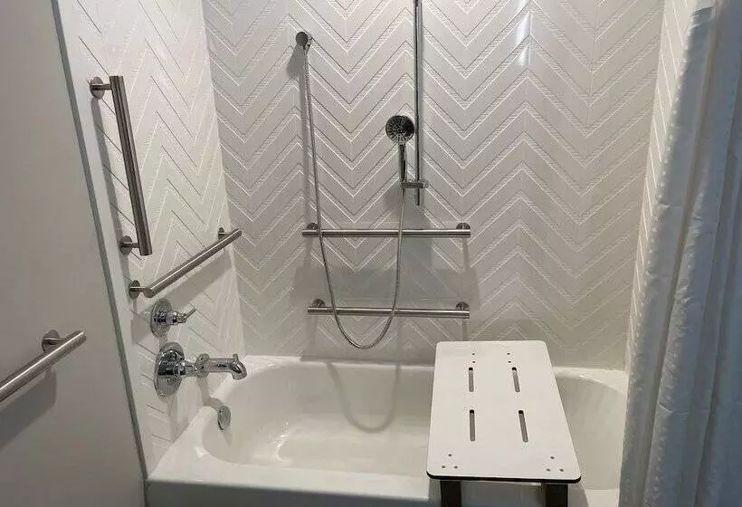 Holiday Inn Hotel & Suites Chicago   Downtown, An Ihg