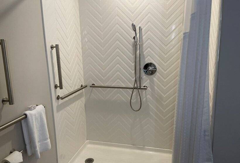 Holiday Inn Hotel & Suites Chicago   Downtown, An Ihg