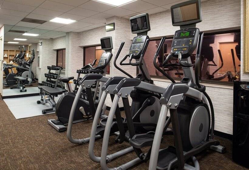 Holiday Inn Hotel & Suites Chicago   Downtown, An Ihg