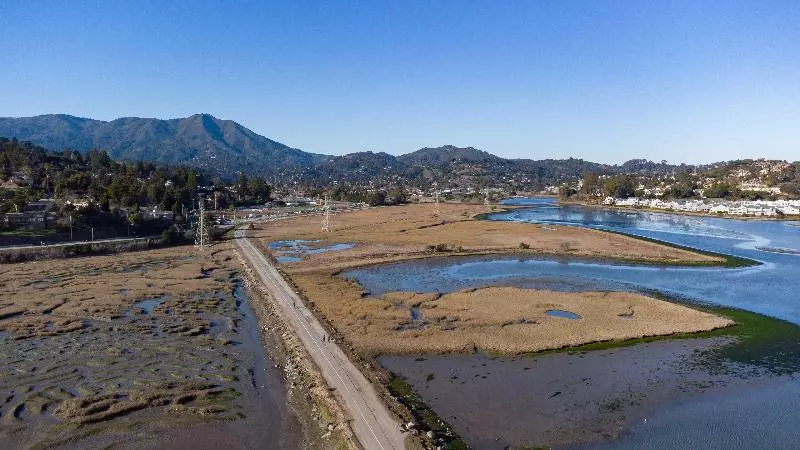 בית מלון כפרי Holiday Inn Express Mill Valley San Francisco Area, An Ihg