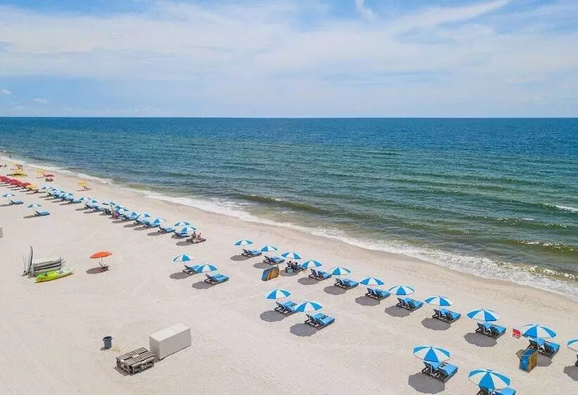 酒店 Holiday Inn Express Orange Beach   On The Beach, An Ihg