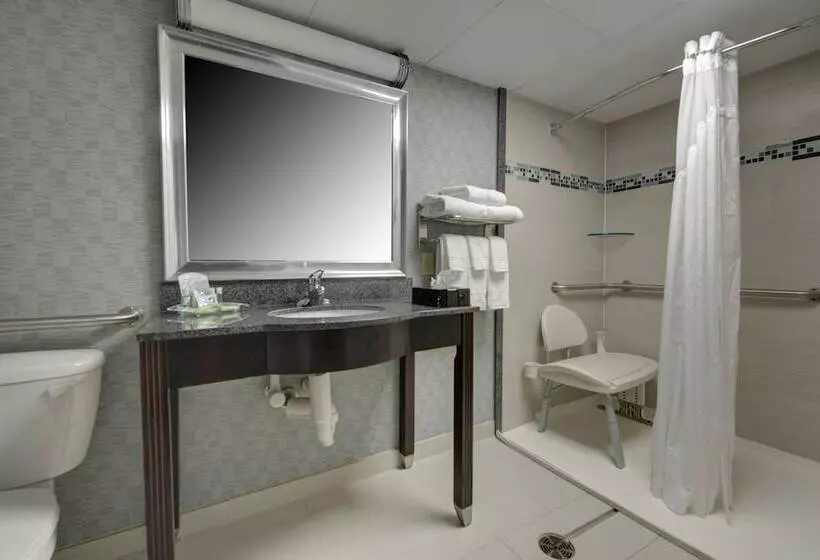 호텔 Holiday Inn Plainview Long Island, An Ihg