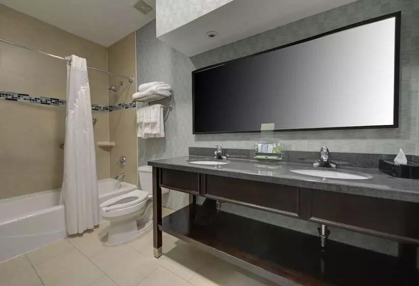 호텔 Holiday Inn Plainview Long Island, An Ihg