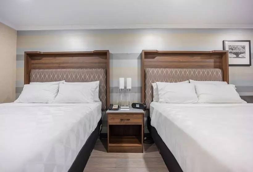 호텔 Holiday Inn Plainview Long Island, An Ihg