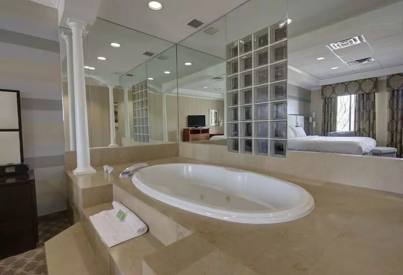 호텔 Holiday Inn Plainview Long Island, An Ihg