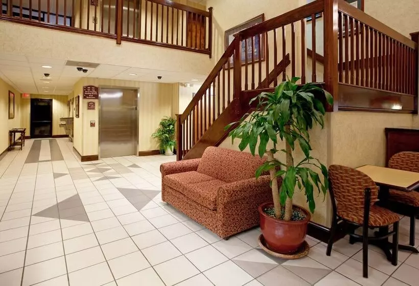 ホテル Lexington Inn And Suites