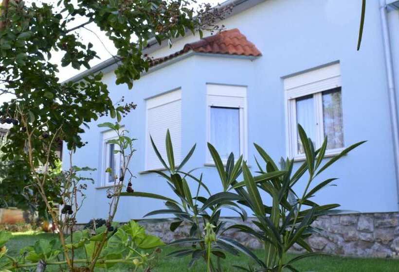 Apartment Blumen Oase