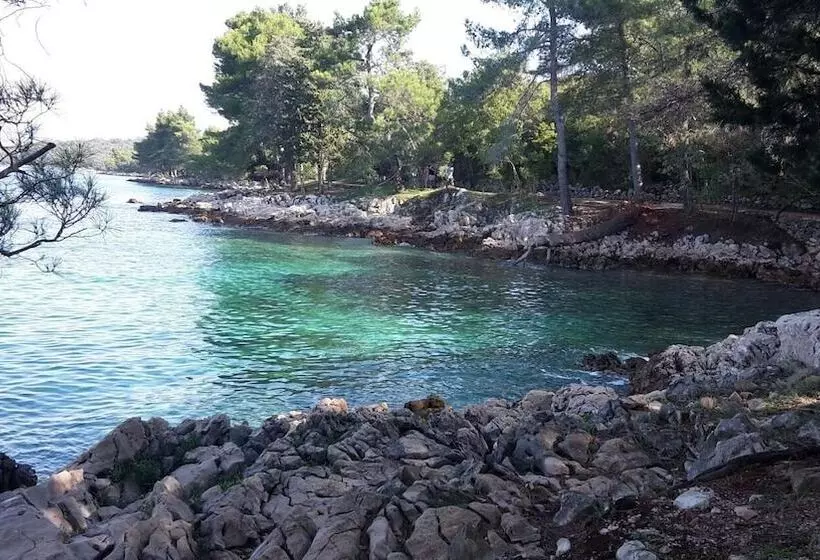 Apartment Blumen Oase