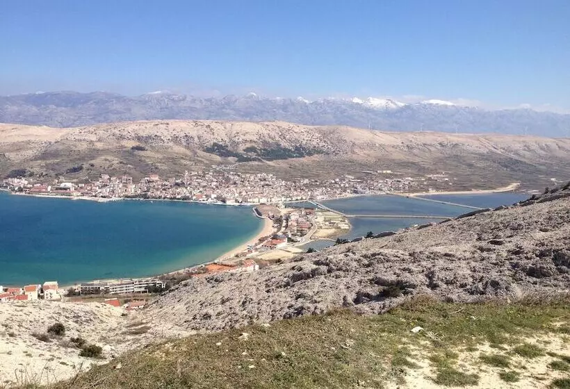 Apartments Tereza