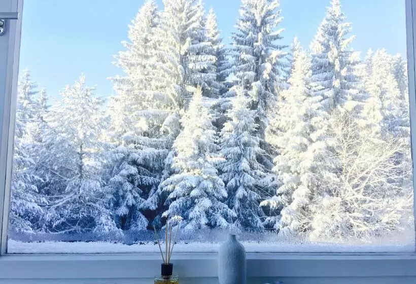 Ferienwohnung Börner