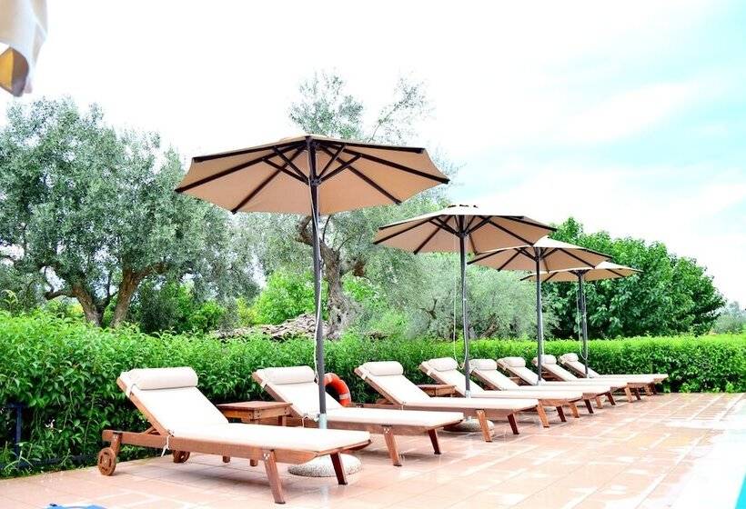 בית מלון כפרי Castle View Bungalows